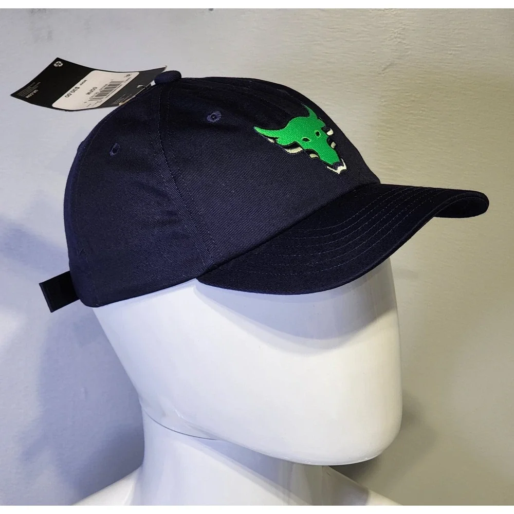 Under Armour‎  Project Rock Unisex Youth Cap Navy Blue Green Adjustable 1369814